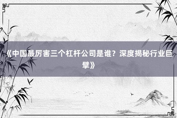 《中国最厉害三个杠杆公司是谁？深度揭秘行业巨擘》
